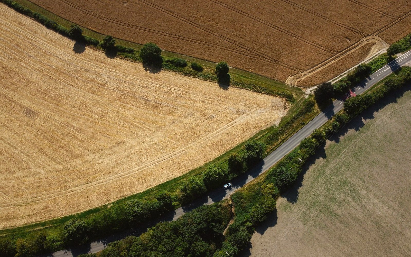 Aerial view of a tree-lined country road winding between harvested farm fields