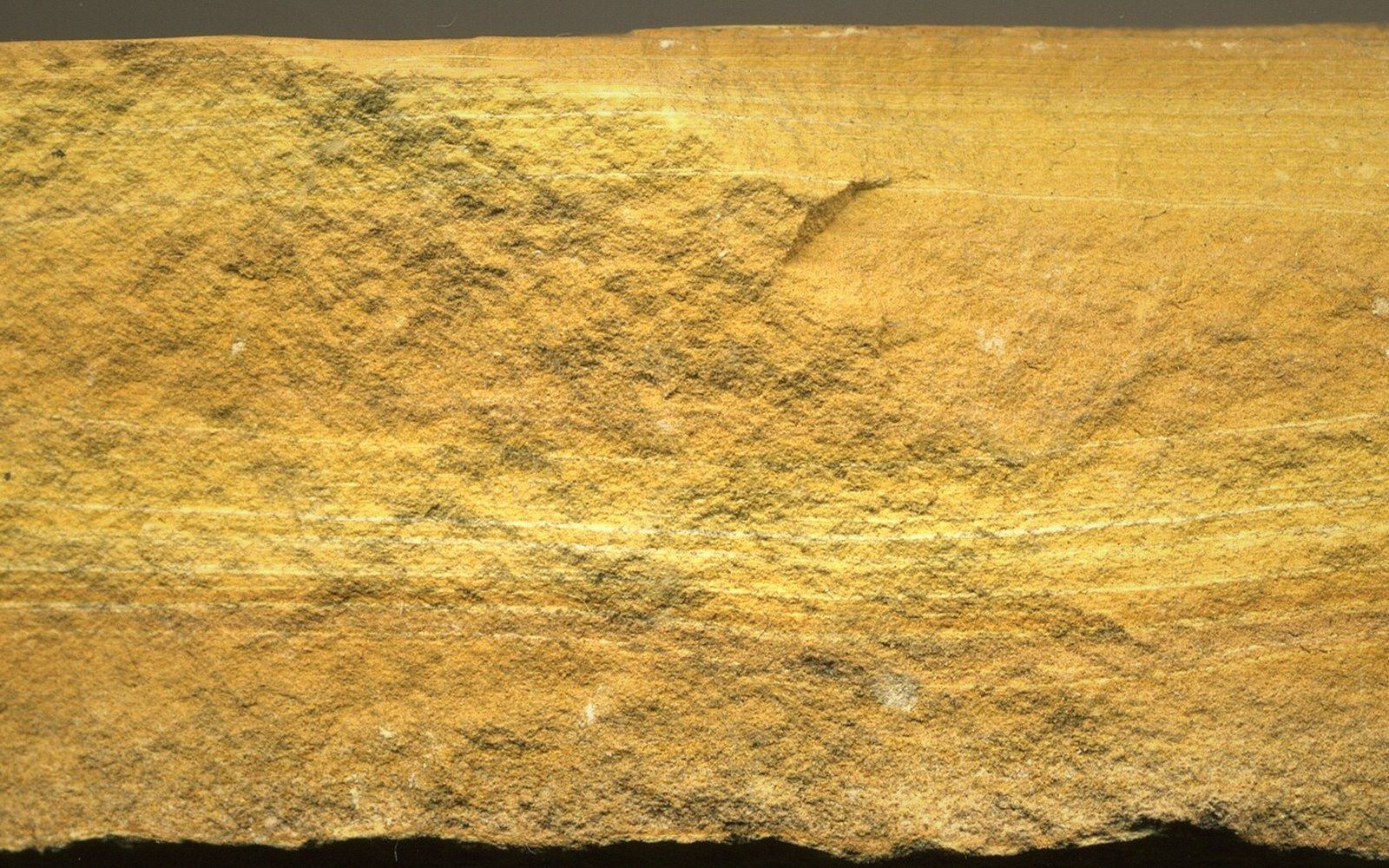 Close-up of textured sandstone surface showing horizontal grain lines and a rough weathered finish