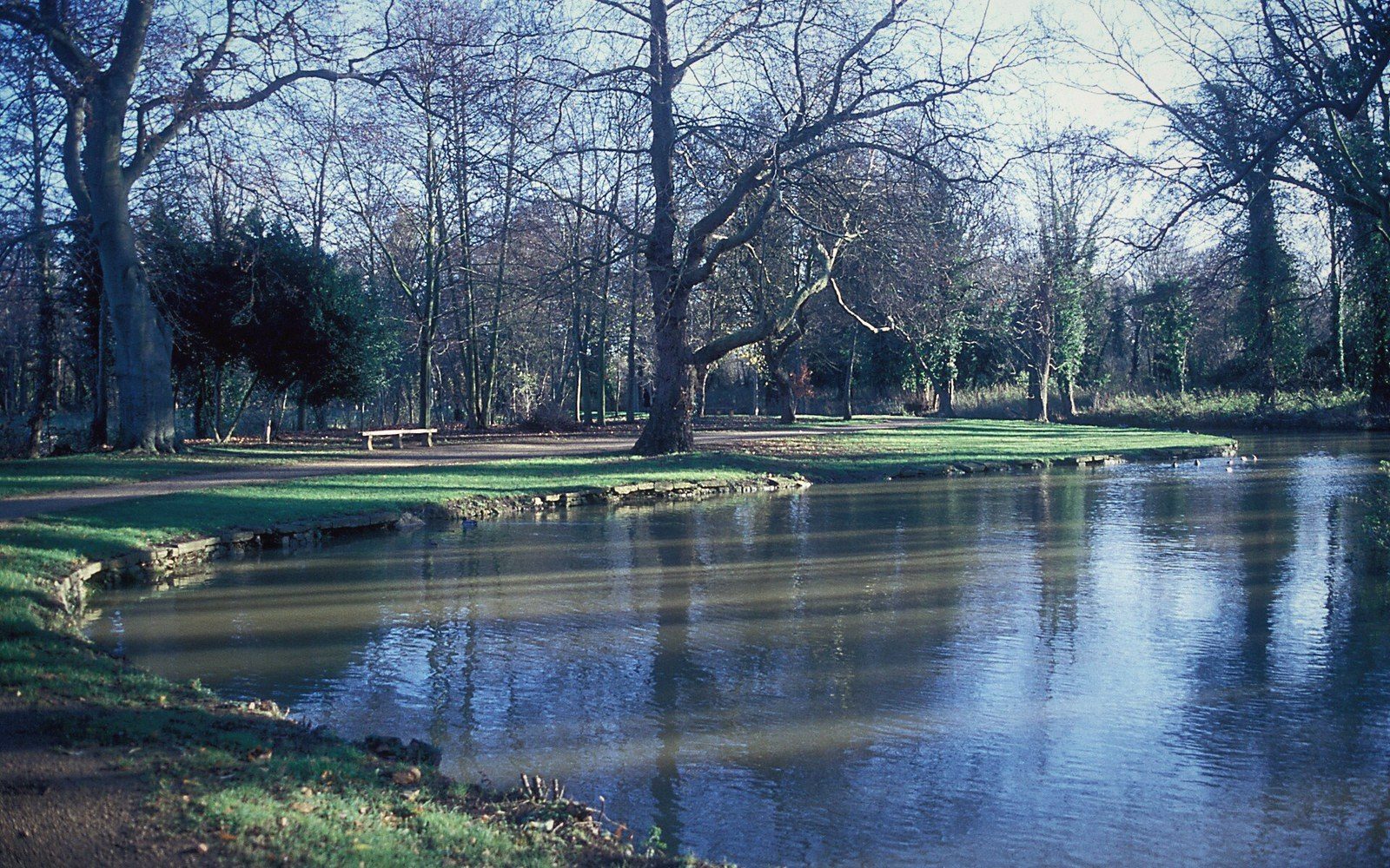 Bare winter trees line a calm riverbank in a grassy park