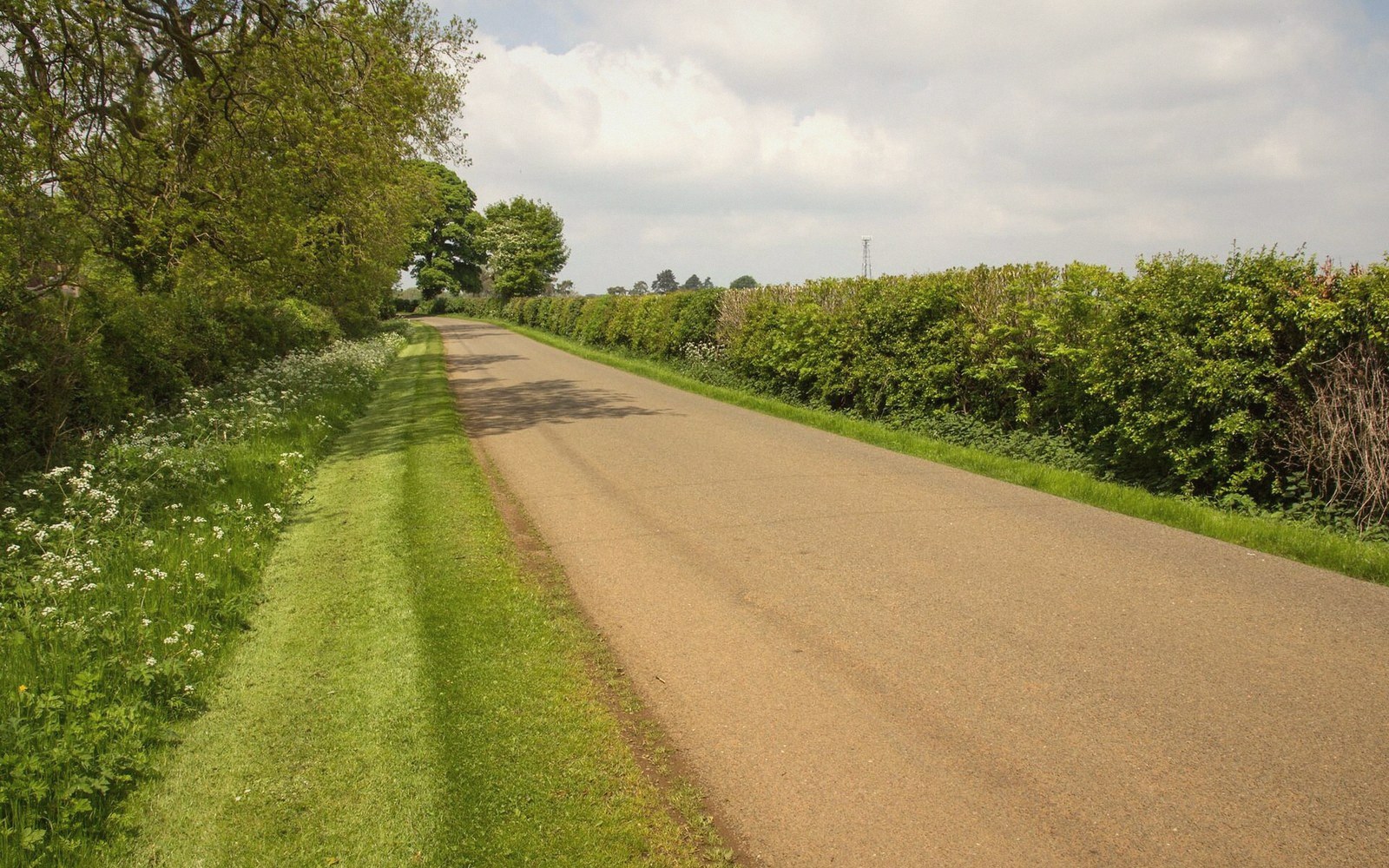 Narrow country lane bordered by hedgerows and grass verges under a cloudy sky