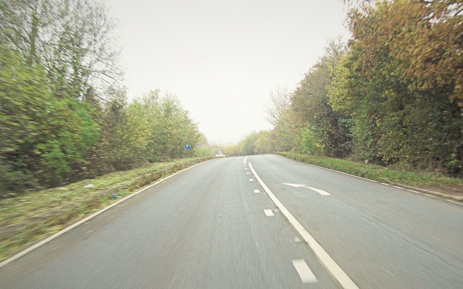 Empty rural road lined with autumn trees under a hazy grey sky