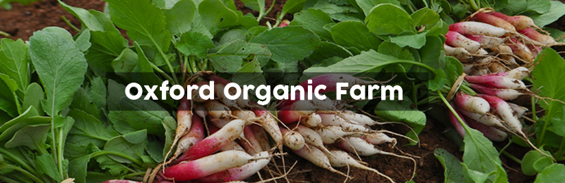 Oxford Organic Farm